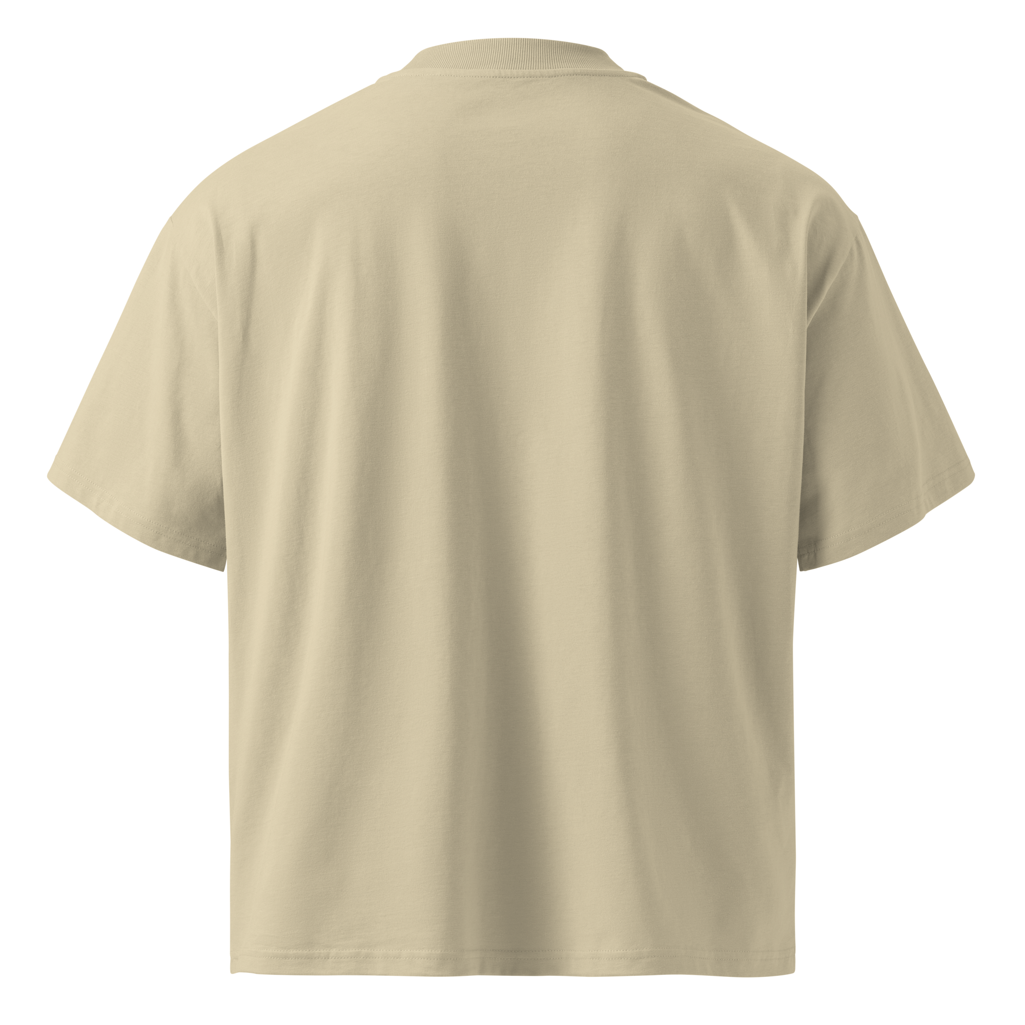 DREAMER TEE OVERSIZED image 1