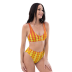 SUNNY SPOT HIGH-WAITED BIKINI image 4