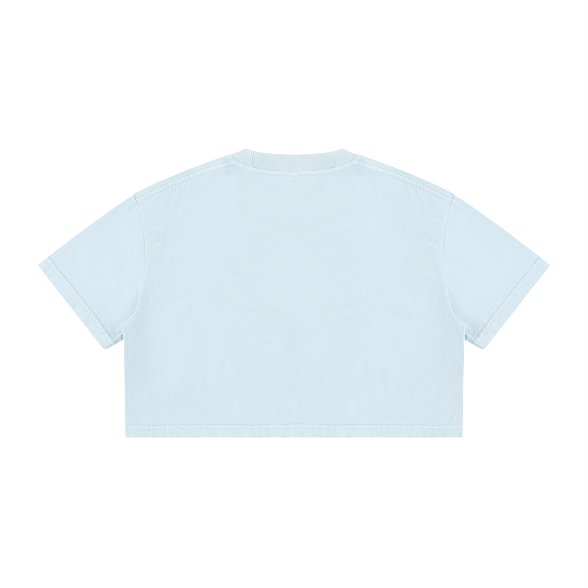 JESUS HATE CROP TEE
