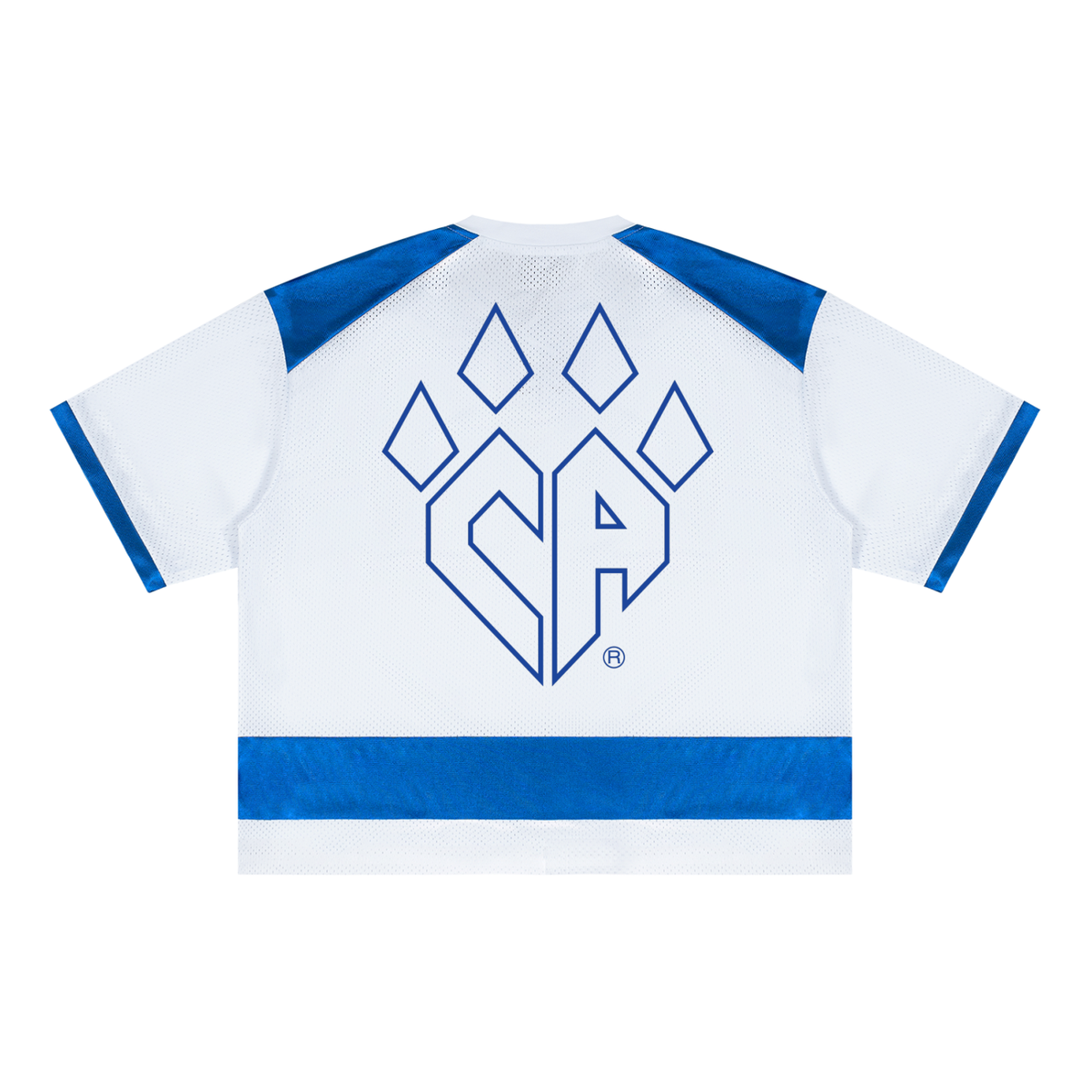 Unisex Raglan Sleeve Mesh Boxy T-Shirt