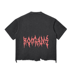 Snow Wash Raw-Hem Boxy T-shirt image 1