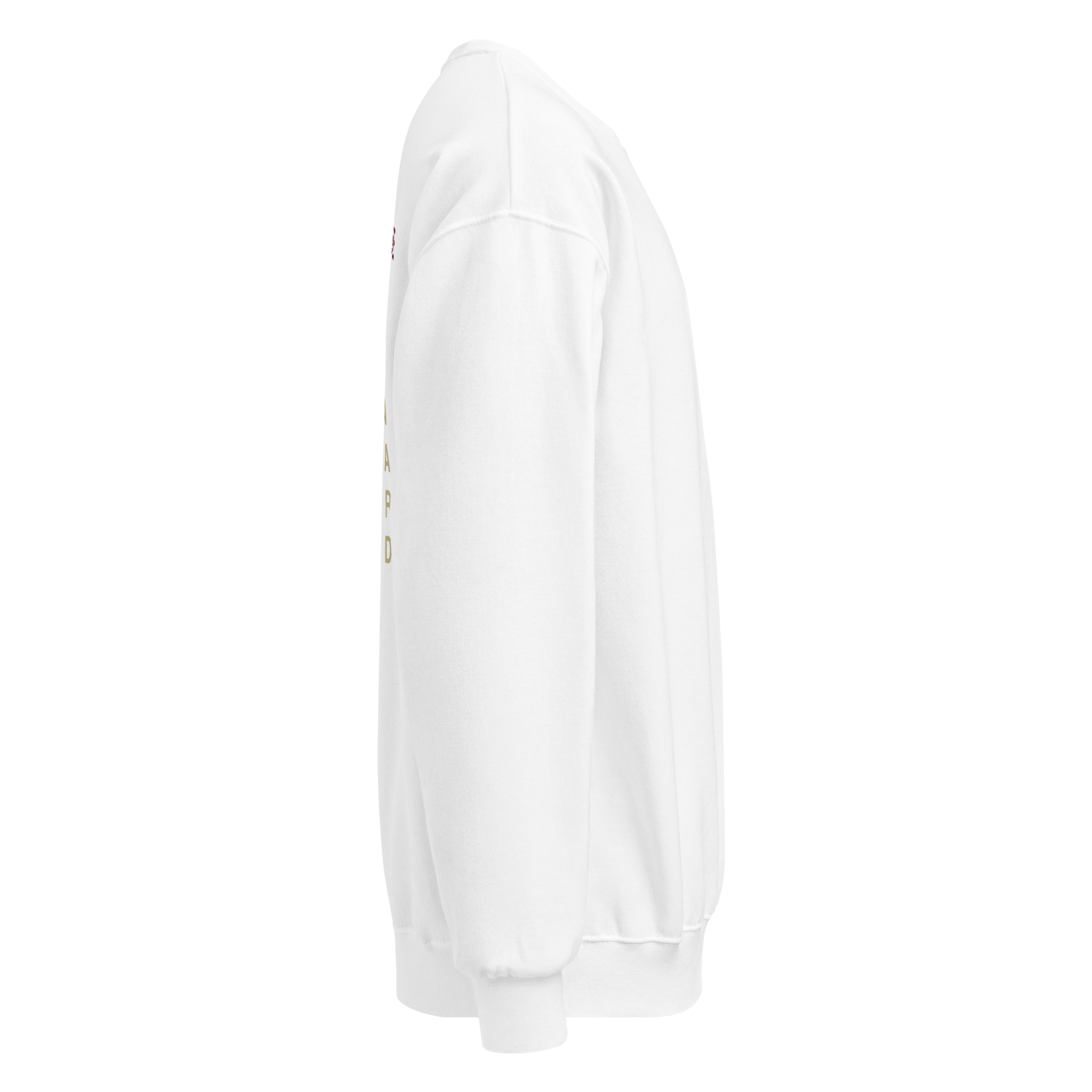 AIR UP THERE CREWNECK image 3