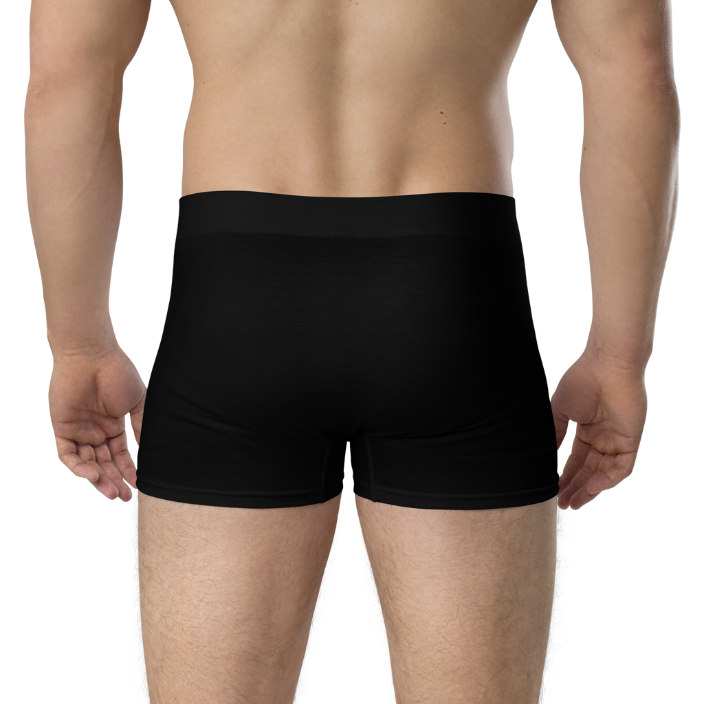 TWO SIMPLE Boxer Briefs image 11