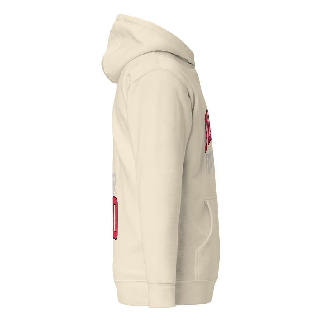 PRAYING HOODIE image 3