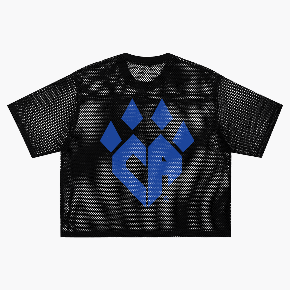 See-through Boxy Net T-Shirt