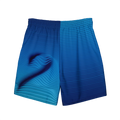 TWO SWIM TRUNKS image 0